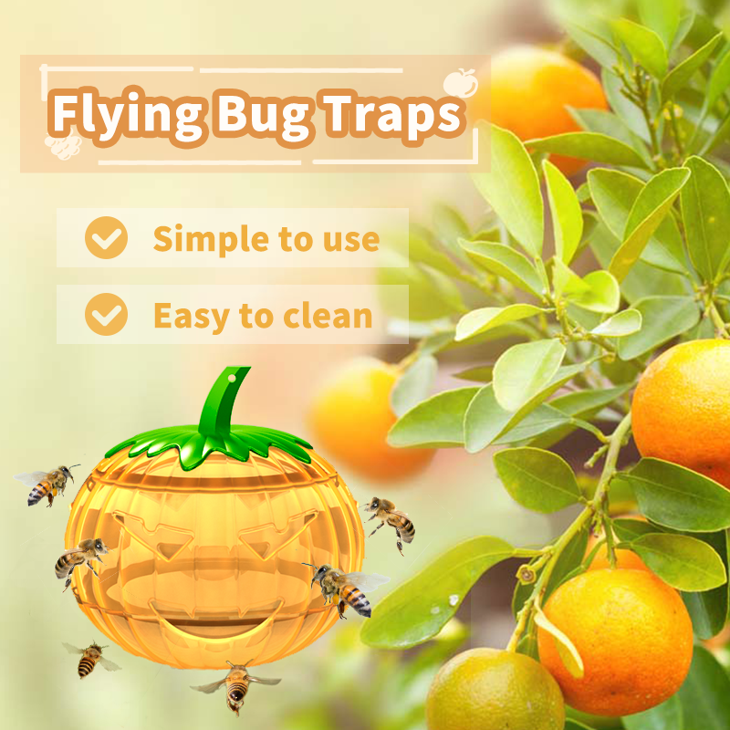 Fruit Fly Traps: Effective Solutions for Eliminating Fruit Flies