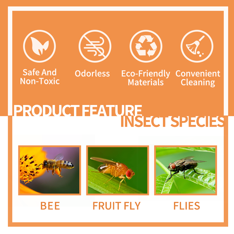 Fruit Fly Traps: Effective Solutions for Eliminating Fruit Flies