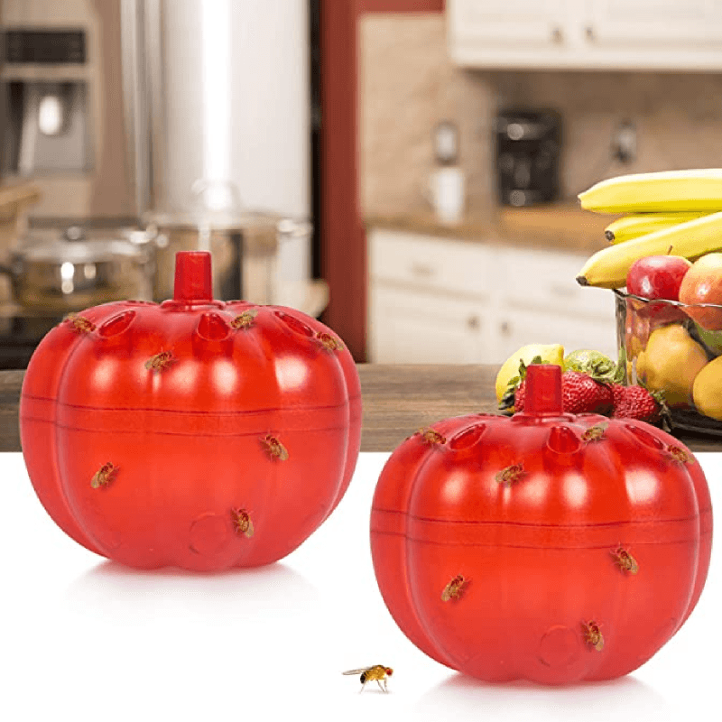 best fruit fly trap for family